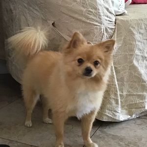 Meet your Posher, Bella